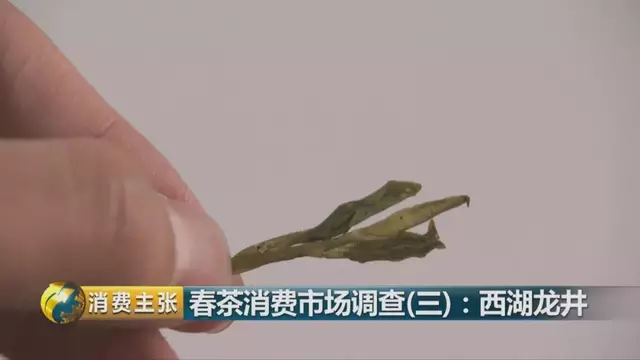 龍井群體種和43號的區別圖片，龍井43和群體種哪個(gè)好喝？