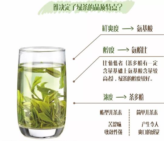 什么綠茶口味重口感濃郁，口味比較重的綠茶都有那些？