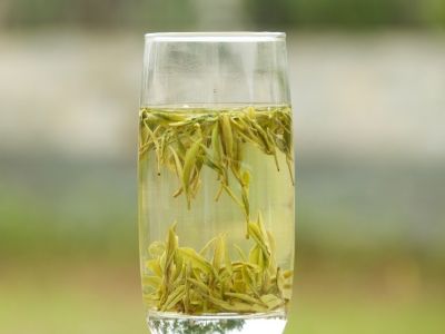 霍山黃芽算是好茶嗎，霍山黃芽屬于什么茶？