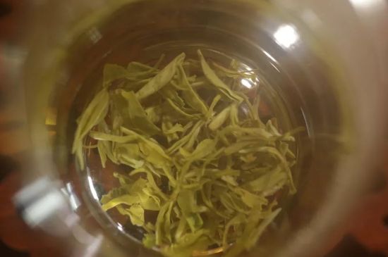 碧螺春正確泡法和飲用，碧螺春茶泡茶方法與溫度