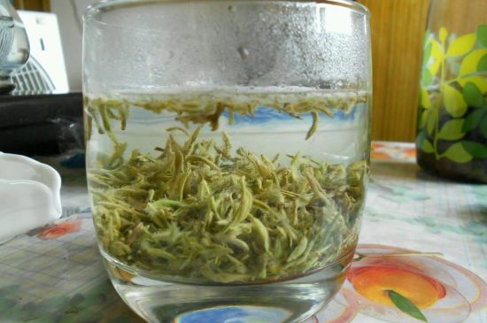 碧螺春正確泡法和飲用，碧螺春茶泡茶方法與溫度