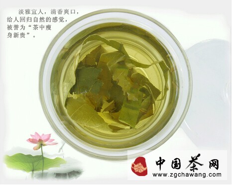 擊退高溫 5款消暑茶最適合女性解暑 荷葉茶