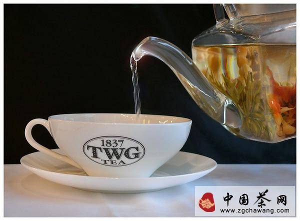 泡好茶講究選好茶 好器 好水三大基本要素