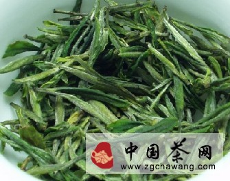 紫筍茶的根基特征和成長(zhǎng)史