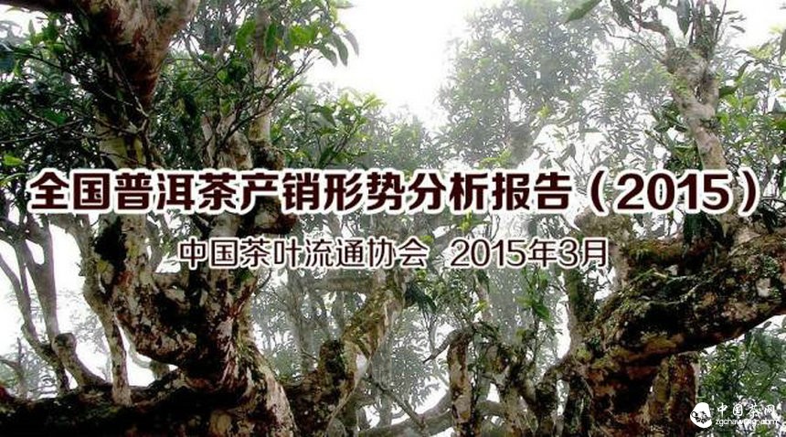 全國普洱茶產(chǎn)銷(xiāo)形勢分析報告（2015）