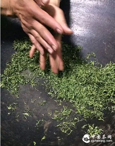 【茶播報(bào)】3月26日春茶播報(bào) 