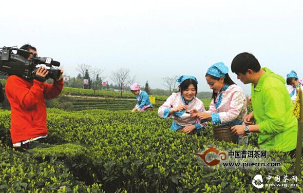 瀘州納溪躋身四川茶產(chǎn)業(yè)十強(qiáng) 