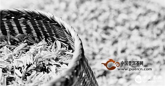 杭州龍塢茶農:雨前西湖龍井茶也還是不錯的