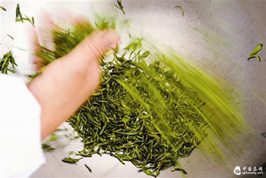 炒茶：心手合一香滿(mǎn)堂