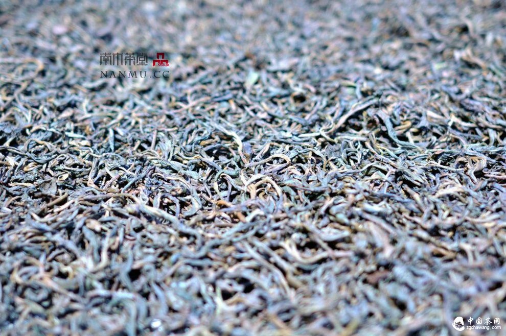 如約&mdash;&mdash;相愛  穿梭在漫漫茶路上