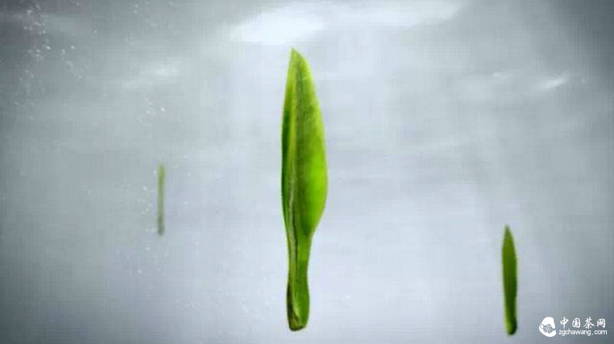 中國茶企首次1分鐘巨獻(xiàn) 竹葉青榮登央視熒屏