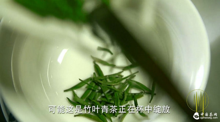 中國茶企首次1分鐘巨獻(xiàn) 竹葉青榮登央視熒屏