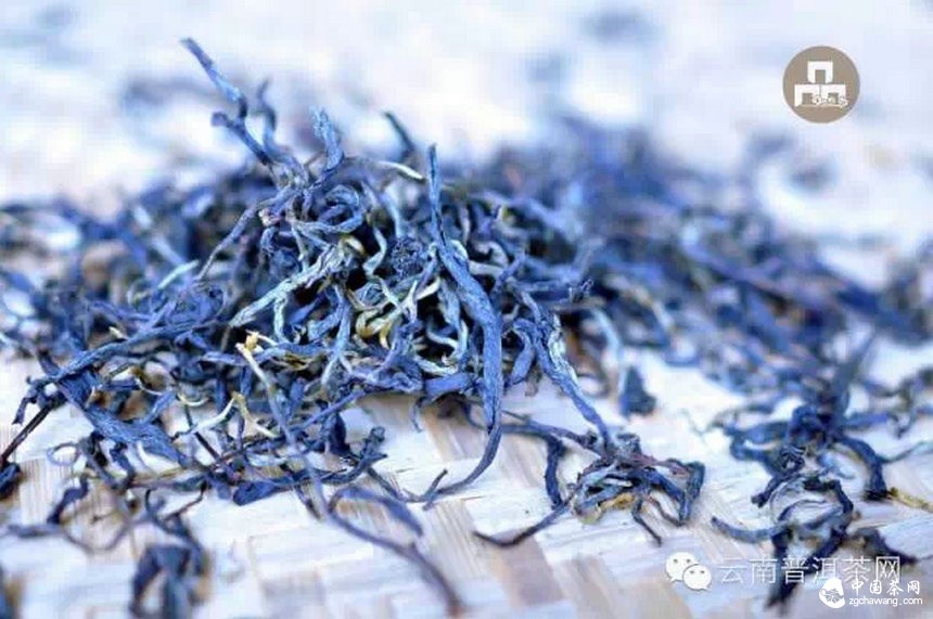 古樹(shù)紅茶采摘、加工、沖泡