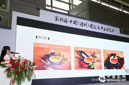 (通過(guò)具體圖片展示斗記普洱不同時(shí)期的不同轉化特點(diǎn))