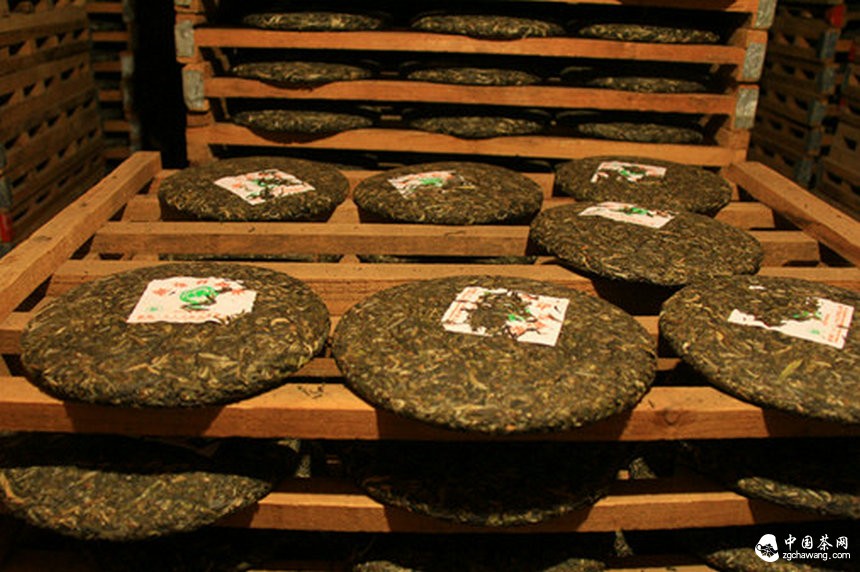 普洱老茶被假冒 涉及兩大品牌