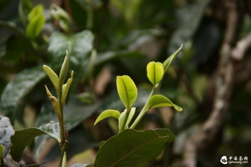 多維考量整合發(fā)展