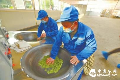 制作茶葉周瑜原
