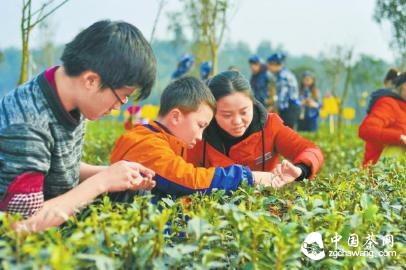 宜賓早茶節(jié)開園儀式