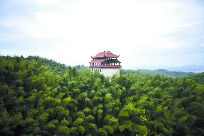 4月16日，桃江縣桃花江竹海景區(qū)一望無際的竹海。