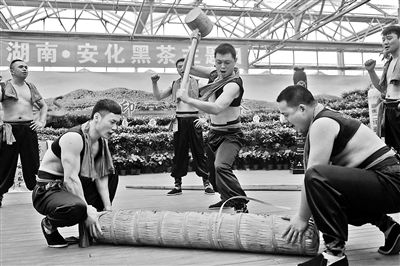 本報訊安化“千兩茶”制作、斗茶比賽、茶歌茶舞……昨天上午，農業(yè)嘉年華迎來(lái)了安化黑茶主題推廣日，不少“茶迷”冒雨趕來(lái)，現場(chǎng)學(xué)做迷你“千兩茶”。