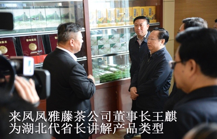 湖北代省長考察金祈藤茶&ldquo;精準(zhǔn)扶貧&rdquo;示范工作1