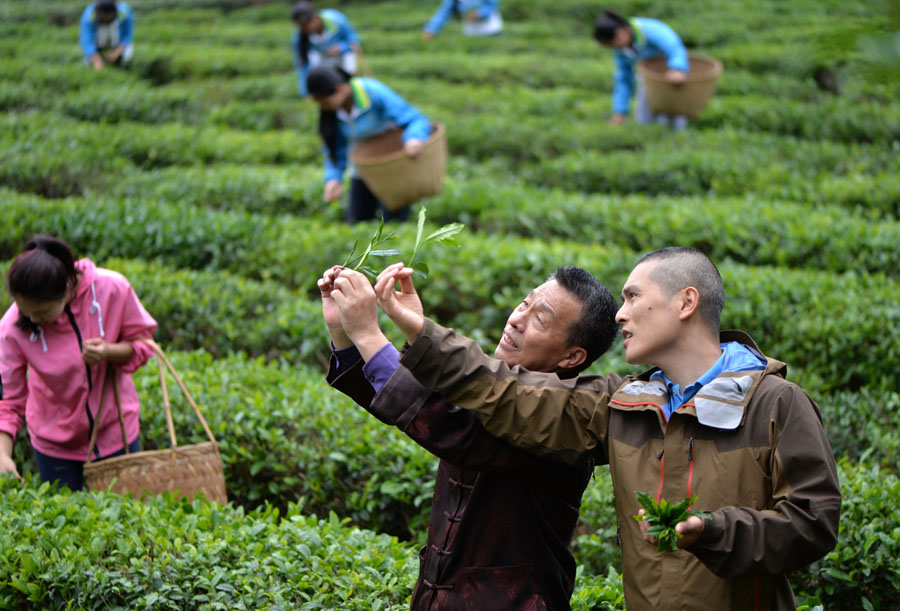 雷軍x大紅袍非遺傳承人王順明：醉品樸茶撬動傳統(tǒng)茶行業(yè)，觸發(fā)產(chǎn)業(yè)新商機