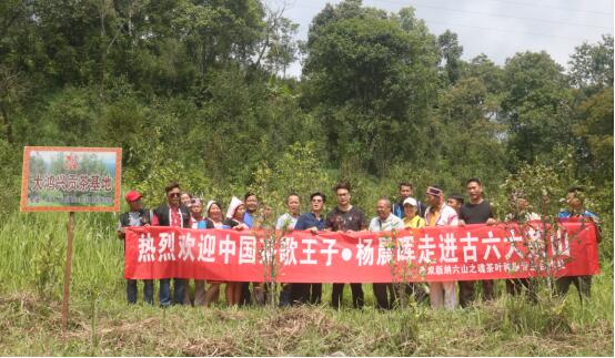 倪龍彪攜手中國茶歌王子--楊晨暉走進(jìn)古六大茶山