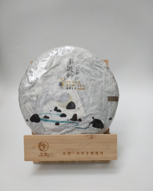 圖片7