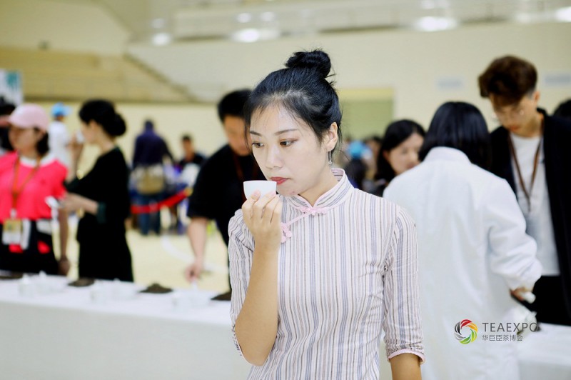 圖片5