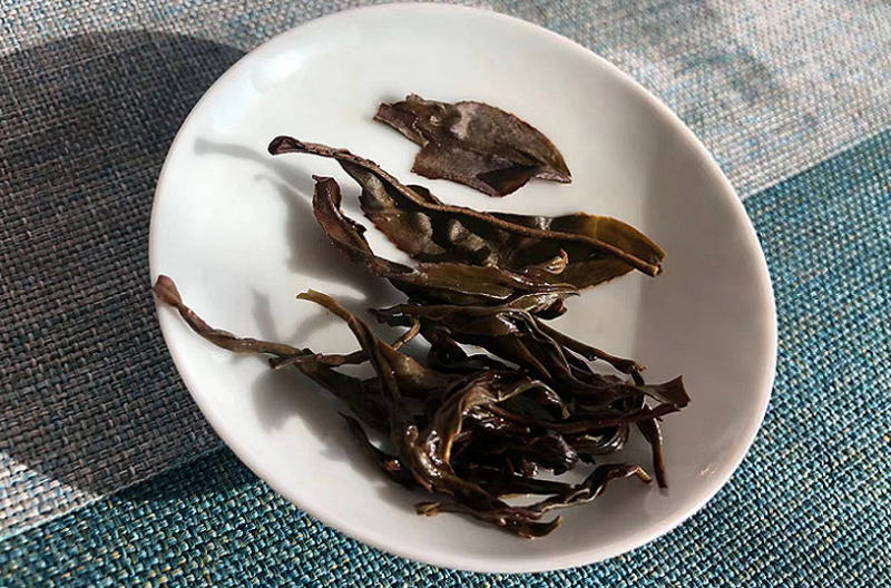 圖片7