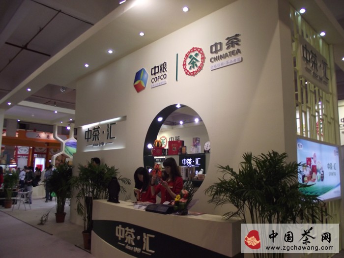 中茶新聞圖片
