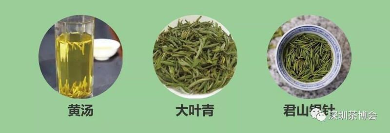 圖6