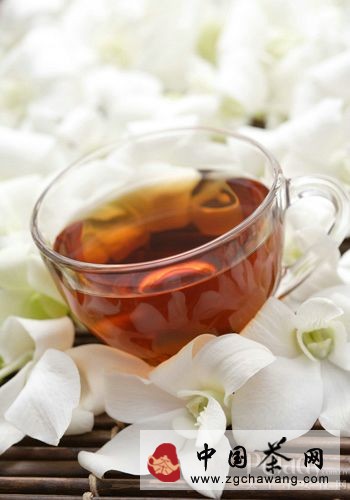 什么茶葉減肥最好